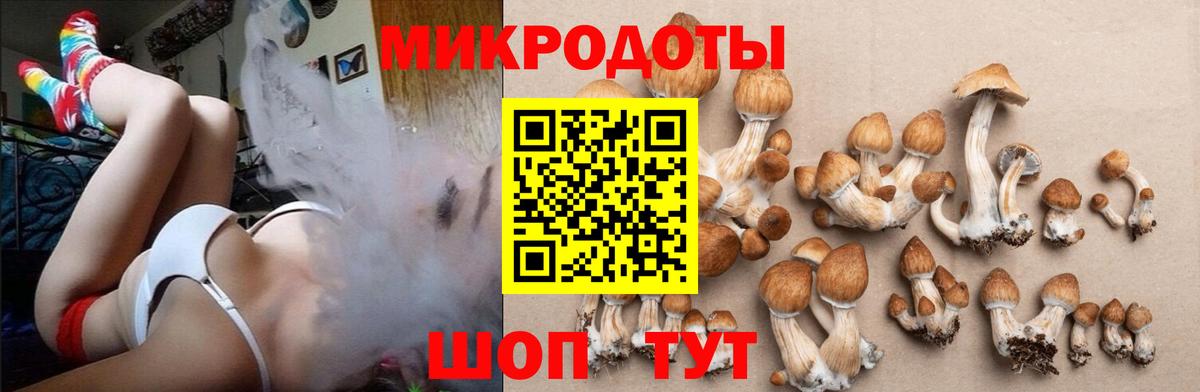 Галлюциногенные грибы прущие грибы Всеволожск